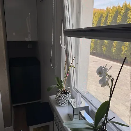 Hotel Wrzosowa Siedlce